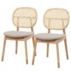 Chaises Coy (lot De 2) 2 Chaises Coy (lot De 2) -VIDAXL || Leitmotiv || Emma Soldes Magasin 1000273456 220420 010 IMAGE P000000001000273456
