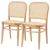 Chaises Sawl I (lot De 2) -VIDAXL || Leitmotiv || Emma Soldes Magasin 1000273474 220420 010 IMAGE P000000001000273474