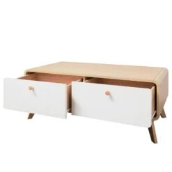 Meuble TV Chelan 26 Meuble TV Chelan -VIDAXL || Leitmotiv || Emma Soldes Magasin 1000299467 211013 13334500066 DETAILS P000000001000299467